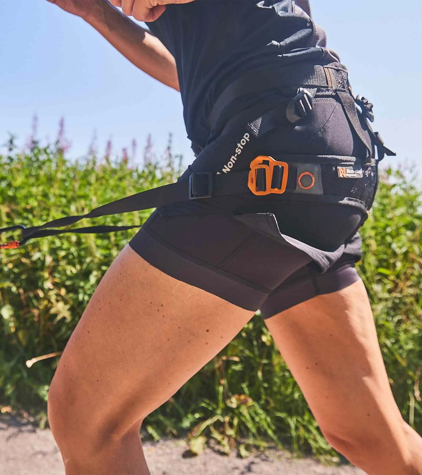 CaniX Belt