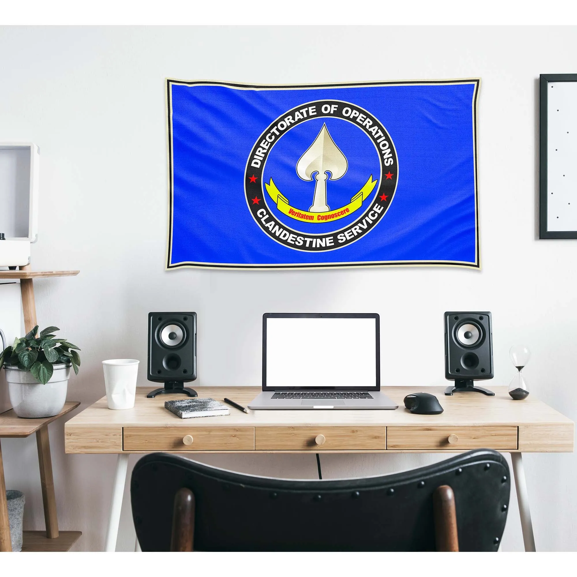 CIA Central Eurasia Division Flag Banner