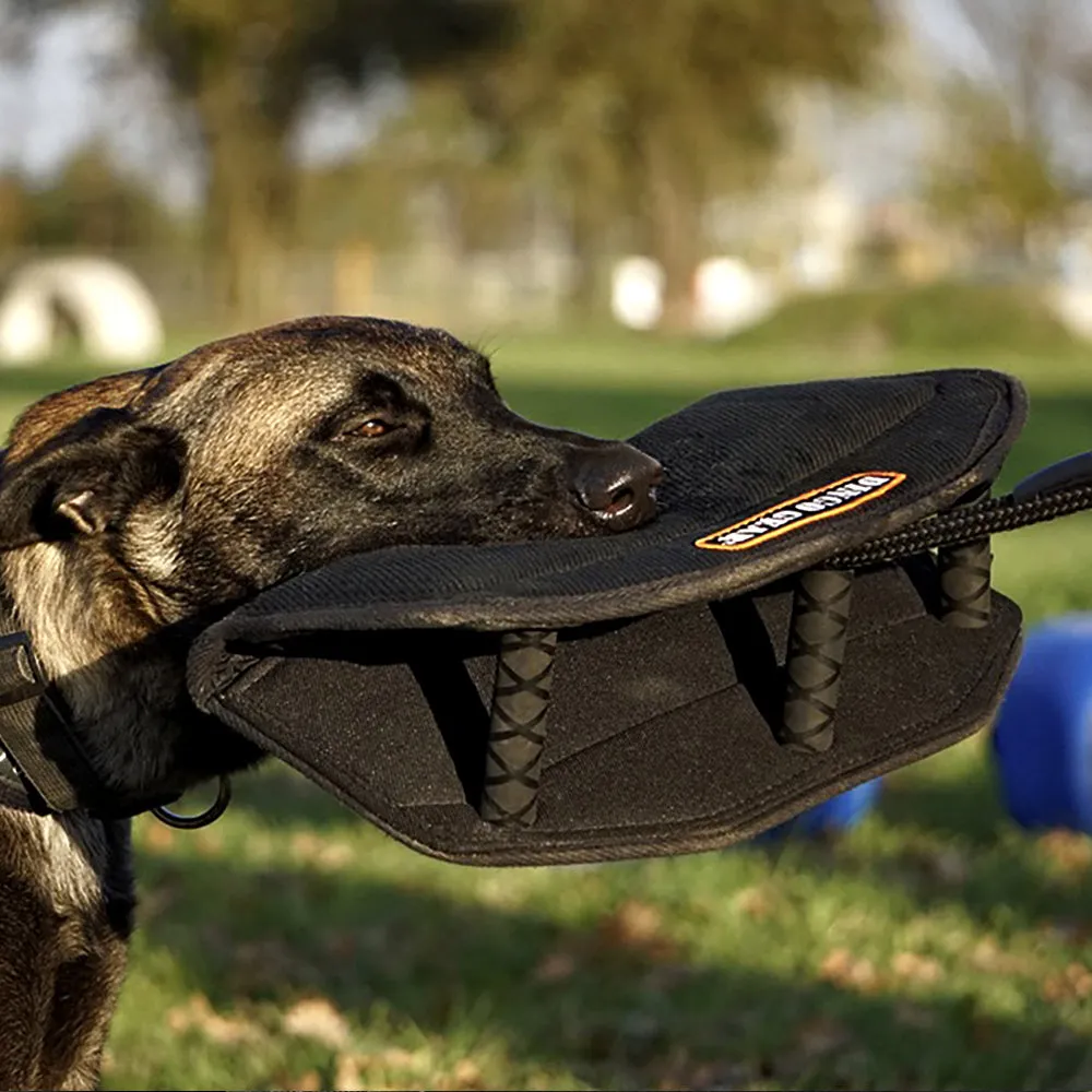 Dingo Gizmo Bite Wedge French Linen