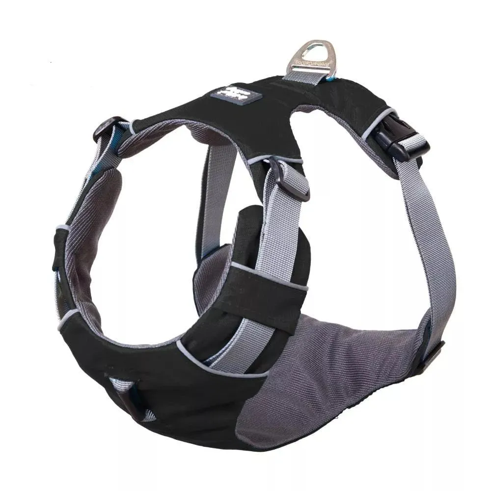 Dog Car Harness | UK Shipped