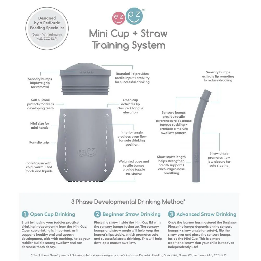 EzPz Mini Cup   Straw Training System (Pewter)
