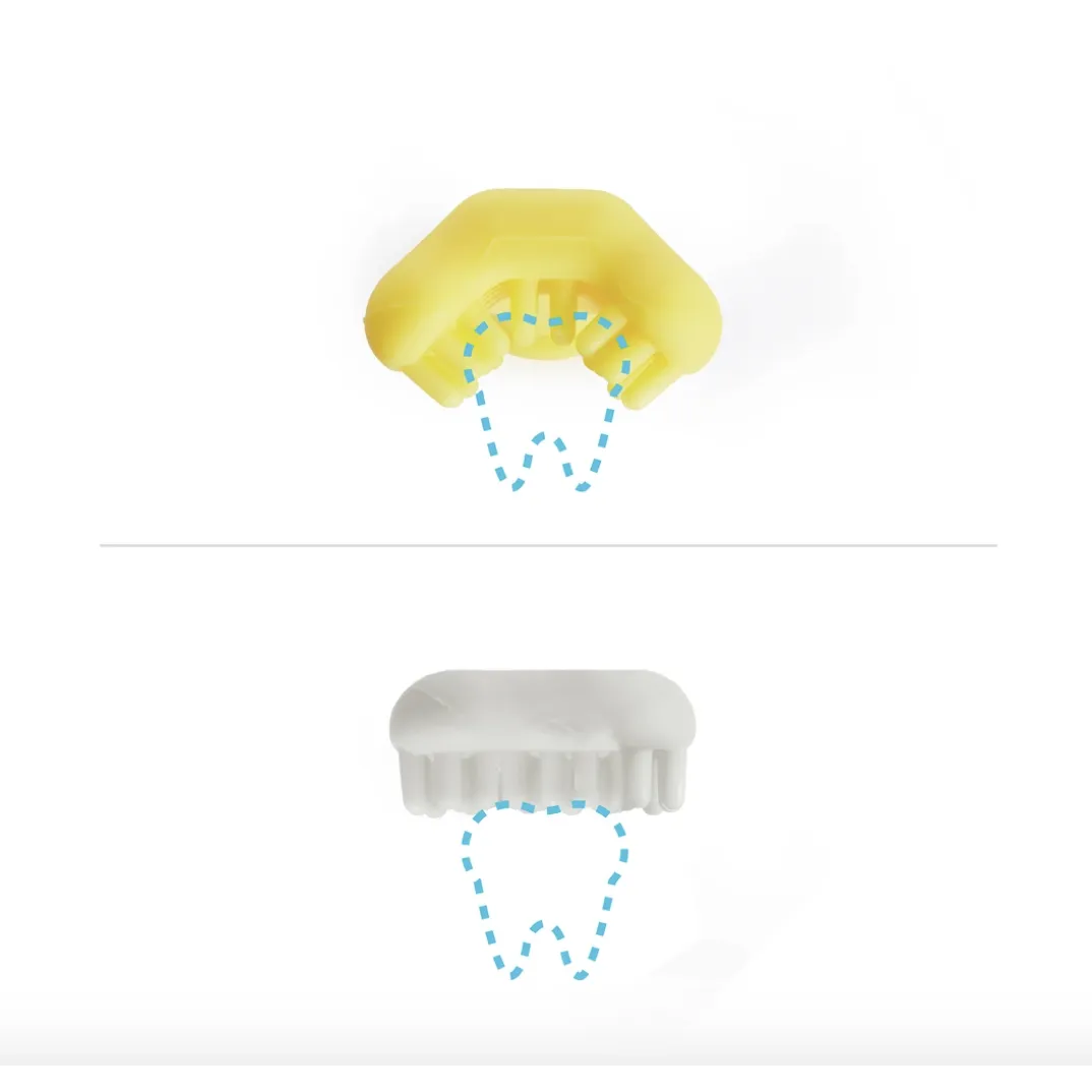 FridaBaby Training Toothbrush for Babies