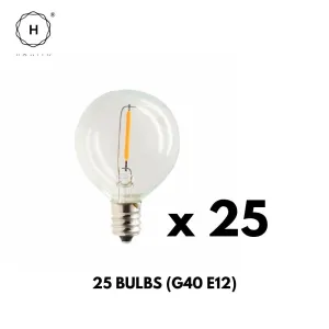 Homlly Dimmable Solar USB Dual Power Outdoor Balcony String Lights with Remote