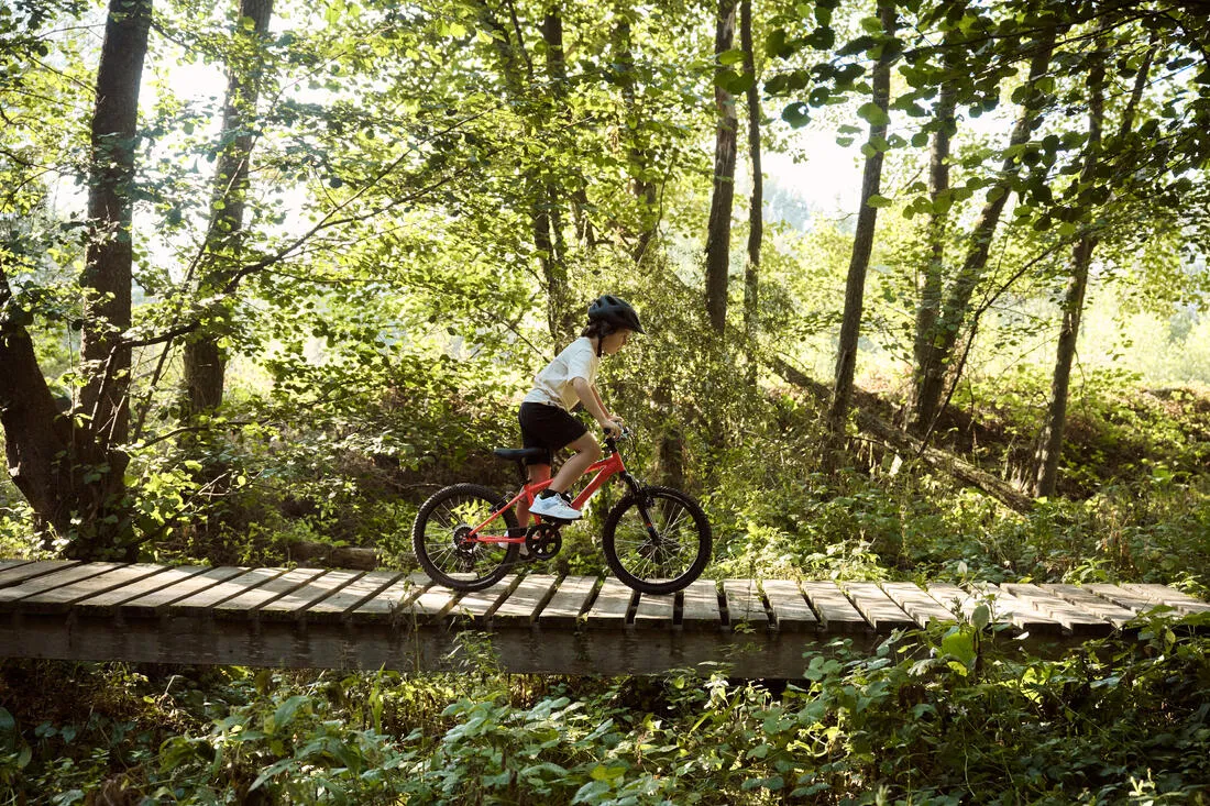 Kids' 20" 6-9 Years Mountain Bike Expl 500