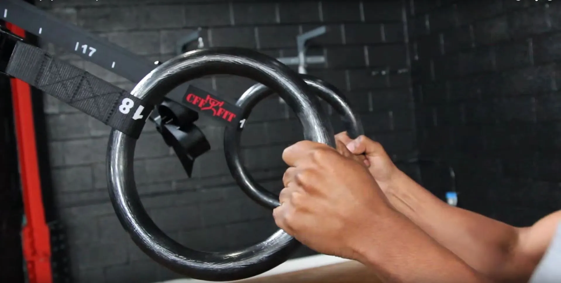PIT BULL OLYMPIC WOOD GYM RINGS