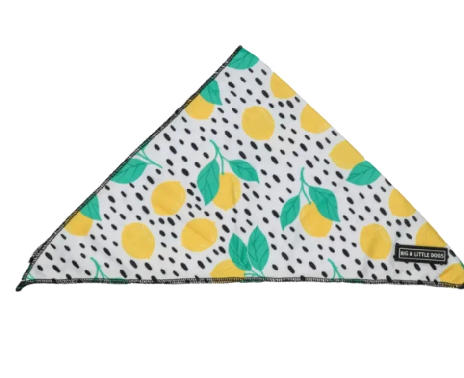 "Main Squeeze" Cooling Bandana