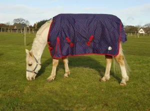 Rhinegold Dottie Torrent Outdoor Rug