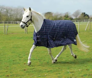 Rhinegold Zeus Outdoor Rug