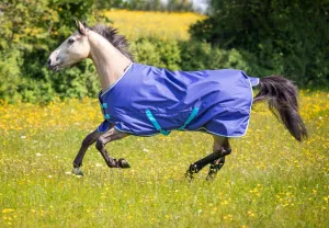 Shires Tempest Original 100 Turnout Rug