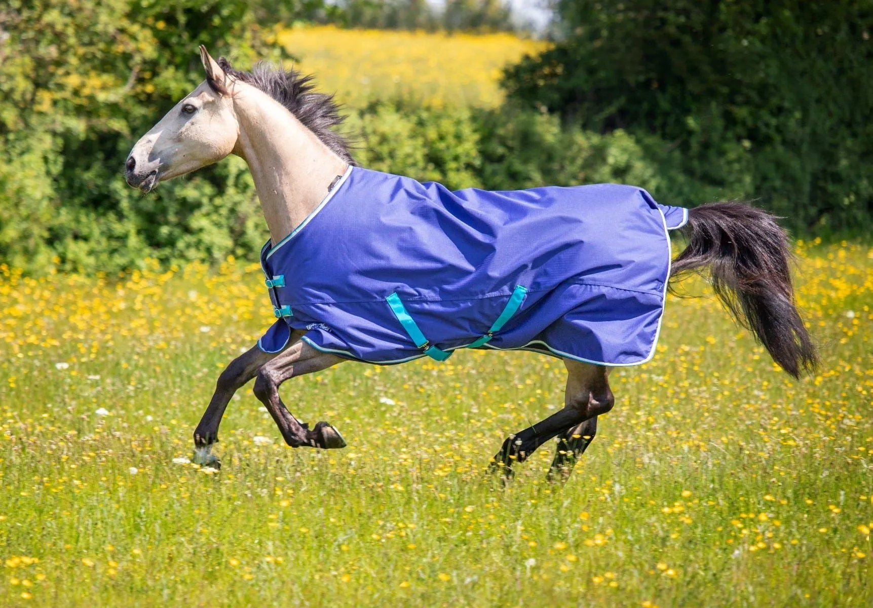 Shires Tempest Original 100 Turnout Rug