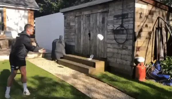 Solo Skills Ball