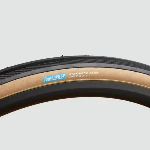 Stampede Pass Tire - Standard Casing