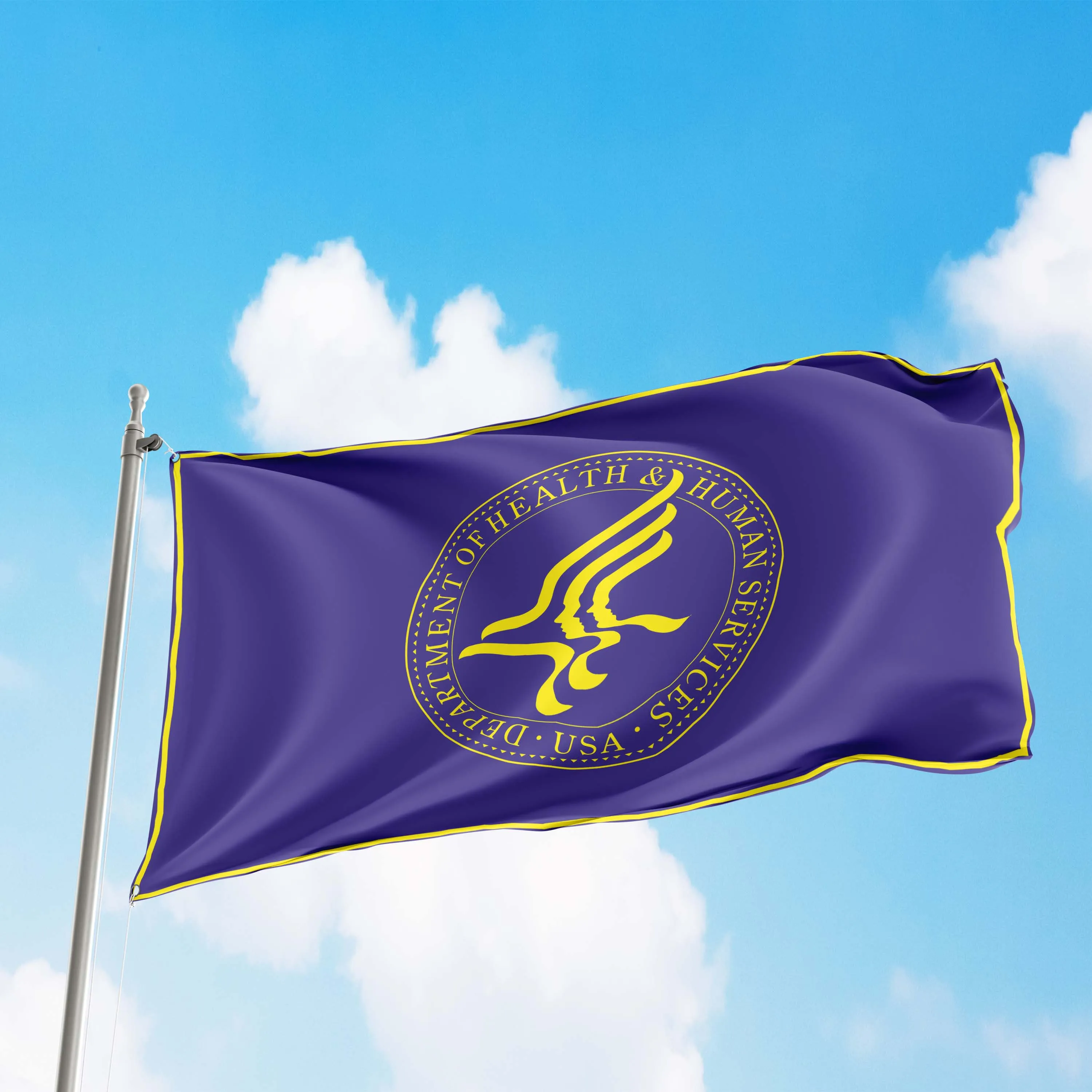 US Department of Health & Human Services USA Flag Banner
