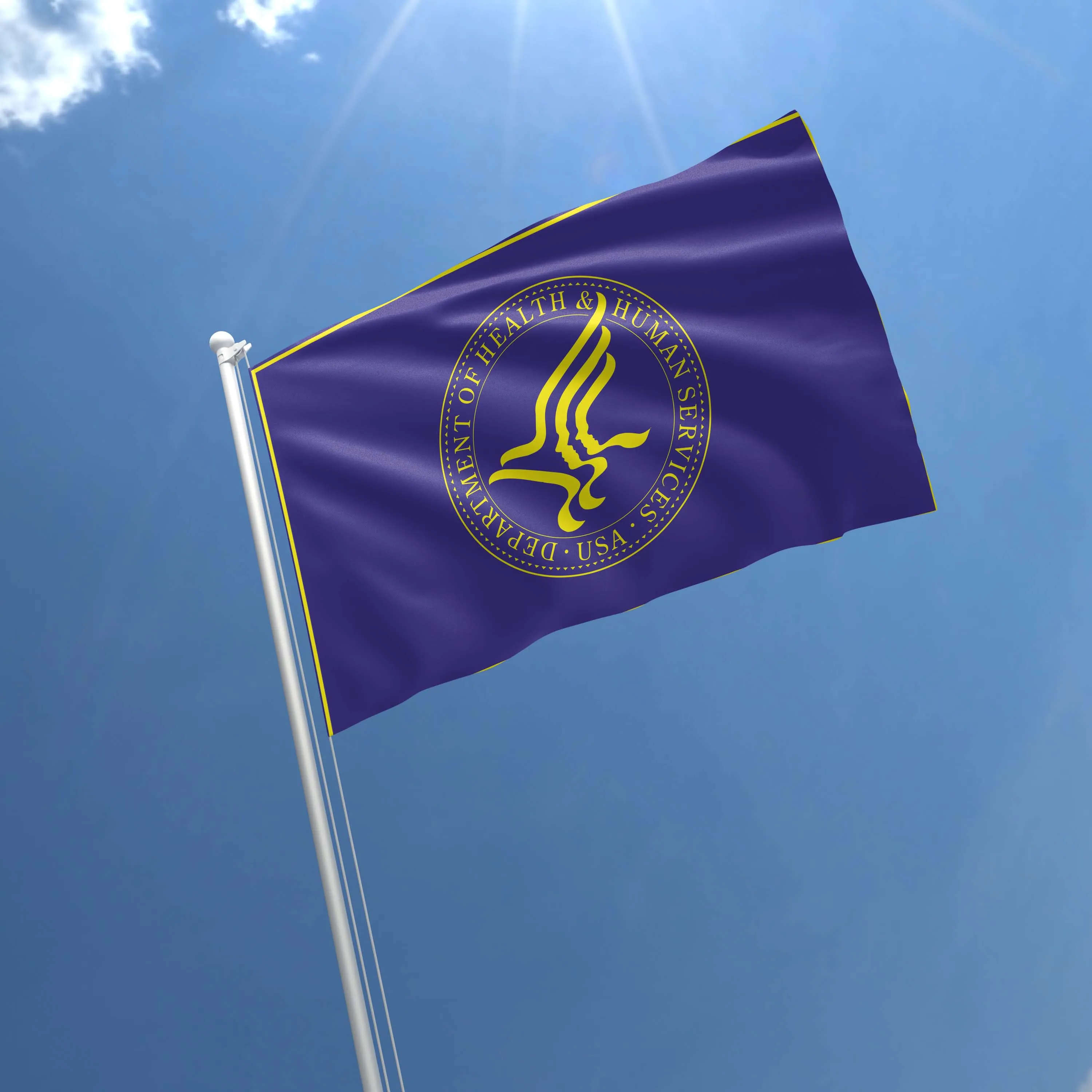 US Department of Health & Human Services USA Flag Banner